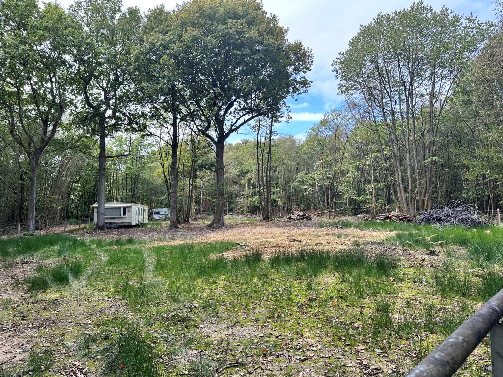 Lot: 88 - WOODLAND WITH APPROVED LAWFUL DEVELOPMENT CERTIFICATE -